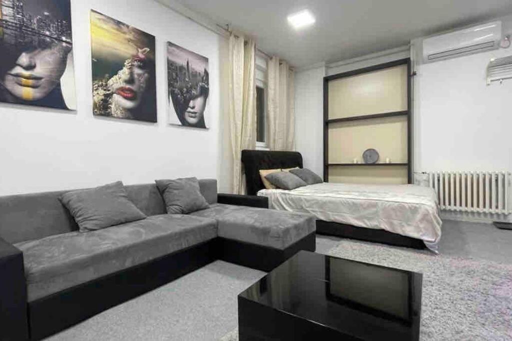 Apartamento Dorcol Lux Studio Belgrado Exterior foto
